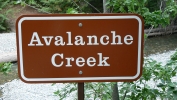 PICTURES/Glacier - Avalanche Lake/t_Avalanche Creek Sign.JPG